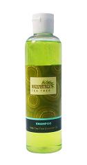 Aromatherapy Tea Tree Shampoo